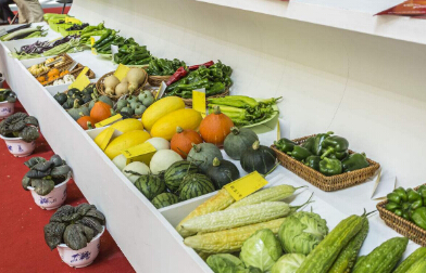 處理食品進口報關(guān)申報你還有很多需要學(xué)