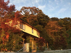 和風不只是町屋 京都民宿的非典型美學